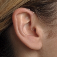 Beltone Promise 17 66DW